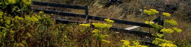 cropped-old-fence-by-the-sea.jpg